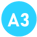 a3